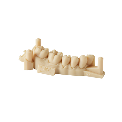 Precision Model Resin (Form 4) 1 L