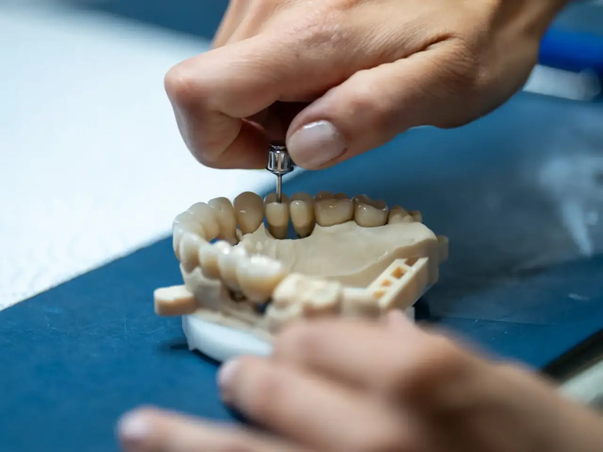 High-Accuracy Restorative Dental Model